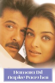 Hamara Dil Aapke Paas Hai 2000 one on netflix