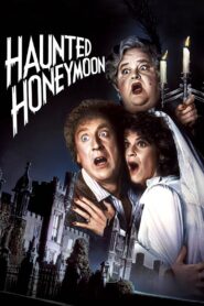Haunted Honeymoon 1986 one on netflix