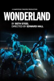 Hampstead Theatre At Home: Wonderland 2014 one on netflix