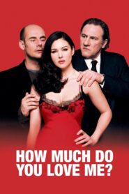 How Much Do You Love Me? 2005 one on netflix