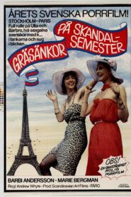 Crazy Swedish Holidays in Paris 1980 one on netflix