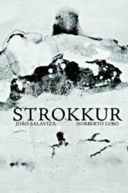 Strokkur 2011 one on netflix