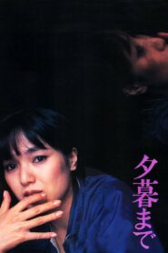 Until Evening 1980 one on netflix