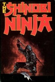 The Shinobi Ninja 1981 one on netflix