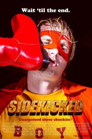 SideKicked 2016 one on netflix