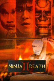 Ninja Death 2 1987 one on netflix