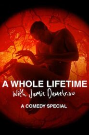 A Whole Lifetime with Jamie Demetriou 2023 one on netflix