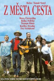 Z města cesta 2002 one on netflix