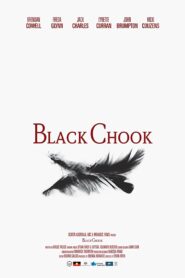 Black Chook 2015 one on netflix