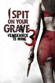 I Spit on Your Grave III: Vengeance Is Mine 2015 one on netflix