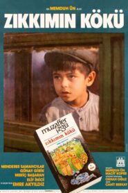 Zıkkımın Kökü 1993 one on netflix