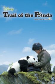 Trail of the Panda 2009 one on netflix