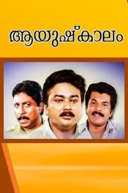 Aayushkalam 1992 one on netflix