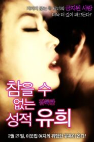 Sexual Play 2013 one on netflix