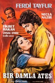 Bir Damla Ateş 1982 one on netflix