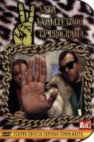 Two Hours of Quality TV Program 1995 one on netflix