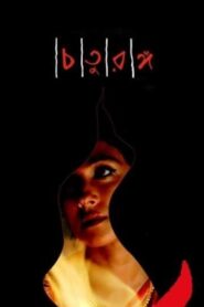 Four Chapters 2008 one on netflix