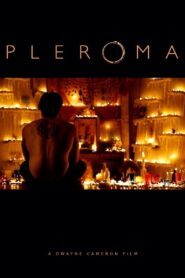 Pleroma 2013 one on netflix