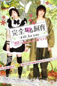 Perfect Education: A Maid for You 2010 one on netflix