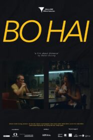 Bo Hai 2017 one on netflix