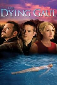 The Dying Gaul 2005 one on netflix