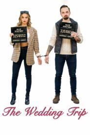 The Wedding Trip 2021 one on netflix