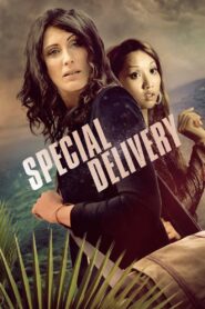 Special Delivery 2008 one on netflix