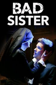 Bad Sister 2015 one on netflix