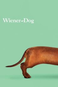 Wiener-Dog 2016 one on netflix