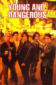 Young and Dangerous 1996 one on netflix