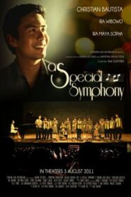 An Extraordinary Symphony 2011 one on netflix