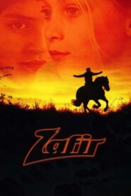 Zafir 2003 one on netflix