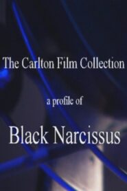 A Profile of ‘Black Narcissus’ 2000 one on netflix