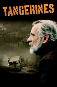 Tangerines 2013 one on netflix