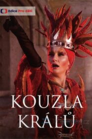 Kouzla králů 2008 one on netflix