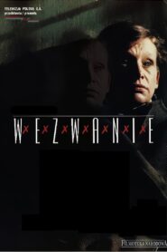 The Call 1997 one on netflix