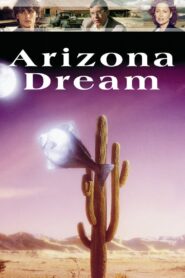 Arizona Dream 1993 one on netflix