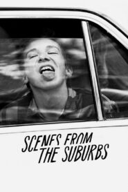 Scenes from the Suburbs 2011 one on netflix