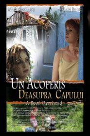 A Roof Overhead 2006 one on netflix