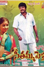 Seethamma Pelli 1984 one on netflix