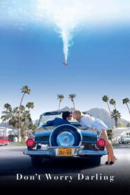 Don’t Worry Darling 2022 one on netflix
