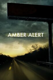 Amber Alert 2012 one on netflix