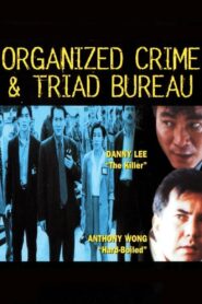 Organized Crime & Triad Bureau 1994 one on netflix