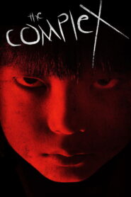 The Complex 2013 one on netflix