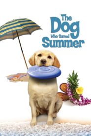 The Dog Who Saved Summer 2015 one on netflix