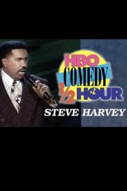 Steve Harvey – HBO Comedy Half-Hour 1995 one on netflix