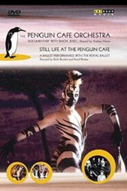 ‘Still Life’ at the Penguin Cafe 1991 one on netflix