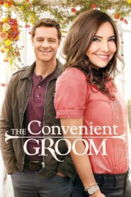 The Convenient Groom 2016 one on netflix