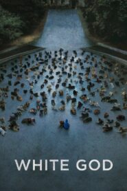 White God 2014 one on netflix