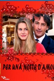 Per una notte d’amore 2008 one on netflix